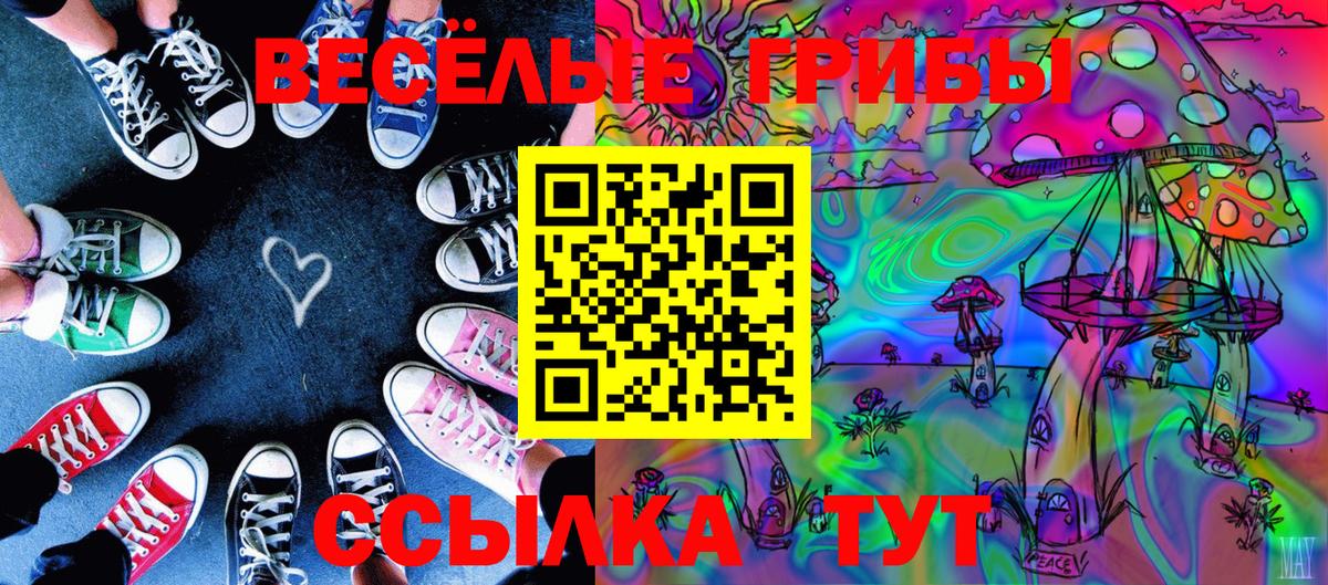 Галлюциногенные грибы Cubensis Выкса