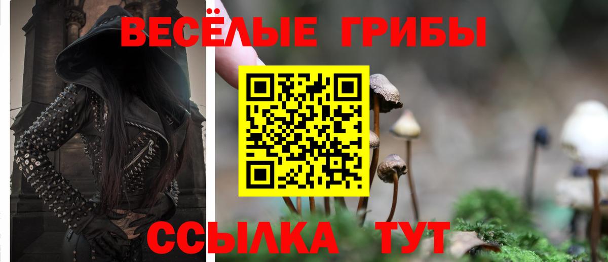 купить закладку  Вход с VPN  Выкса  Галлюциногенные грибы Psilocybe 