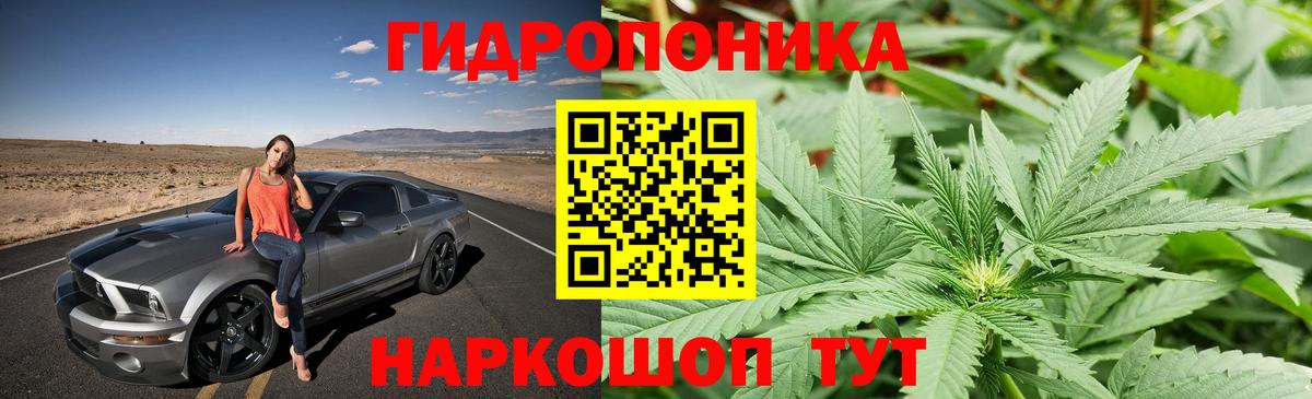 Шишки марихуана LSD WEED  Вход с VPN  Выкса  Бошки Шишки индика  Бошки Шишки семена 